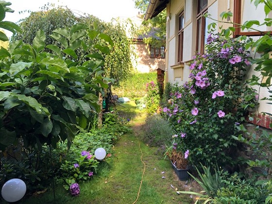 Zahradu majitelé chalupy udrují ve venkovském duchu, respektují vekeré její...