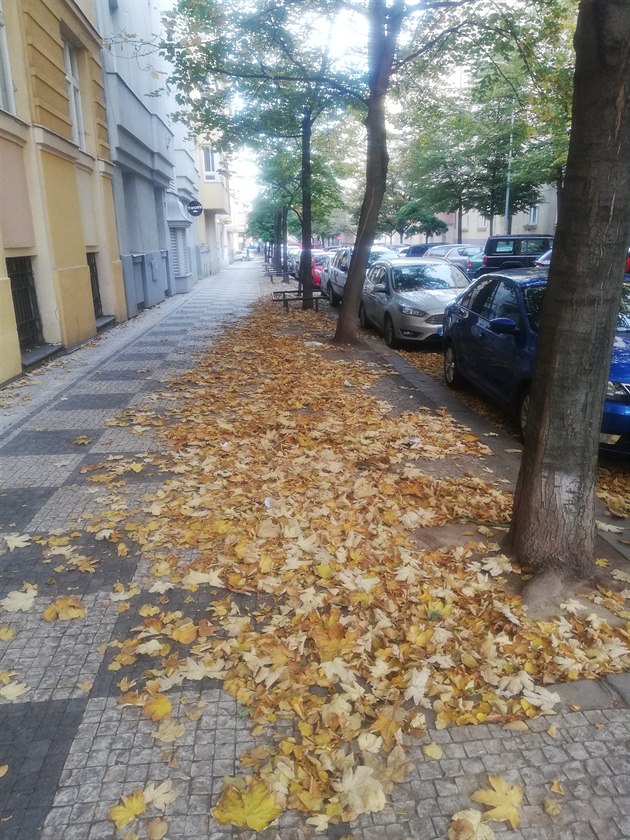 Podzim