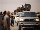 Syrská vládní vojska míí do msta Ain Issa na severu zem poté, co tamní...