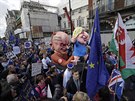 Britové protestovali v Londýn bhem jednání poslanc o dohod o brexitu. (19....