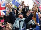 Odprci brexitu protestovali v Londýn bhem jednání poslanc o dohod o...