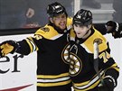 Český útočník David Pastrňák objímá spoluhráče Jakea DeBruska z Boston Bruins,...