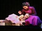Soubor opery Divadla J. K. Tyla v Plzni uvedl svtovou premiéru opery Brouci...