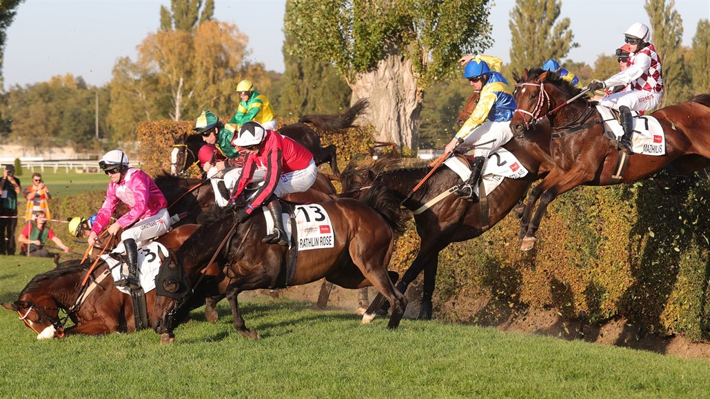 Tzigane Du Berlais v sedle s Janem Faltejskem (s �íslem 2) padá p�i obhajob�...