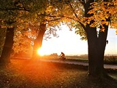 Cyklista projí�dí po silni�ce u obce Plandry na Jihlavsku. (17. �íjna 2019)