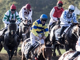 Startovní pole dostihu Velká pardubická