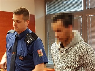 Muž, který podle obžaloby utýral nevlastního syna, před ústeckým krajským...