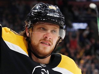 David Pastrňák z Bostonu se raduje z jednoho ze svých gólů v zápase s Anaheimem.