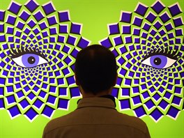 ILUZE. Návtvník interaktivní výstavy vnované optickým iluzím v nmeckém...