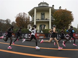 PVTIV VDE. Eliud Kipchoge pi pokusu poprv zabhnout maraton pod dv...