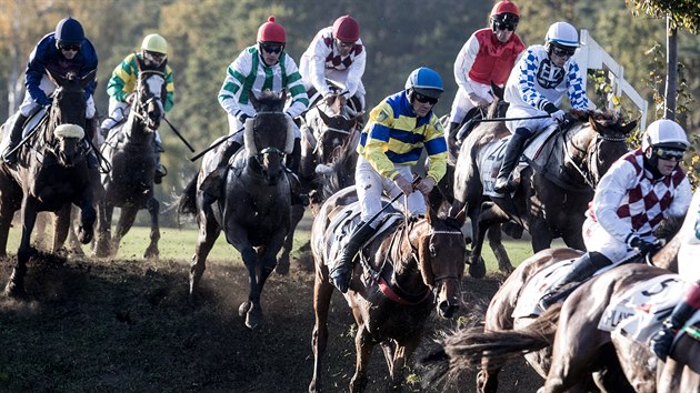 Startovn pole dostihu Velk pardubick