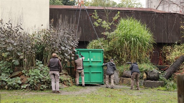 Do ostravsk zoo picestoval nov samec hrocha ped nedvnem.