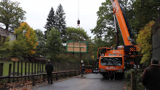 Do ostravsk zoo picestoval nov samec hrocha ped nedvnem.