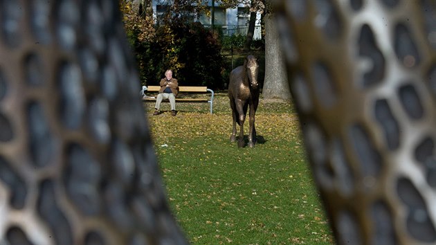 Lidé mohou obdivovat trojici bronzových koní od Michala Gabriela.