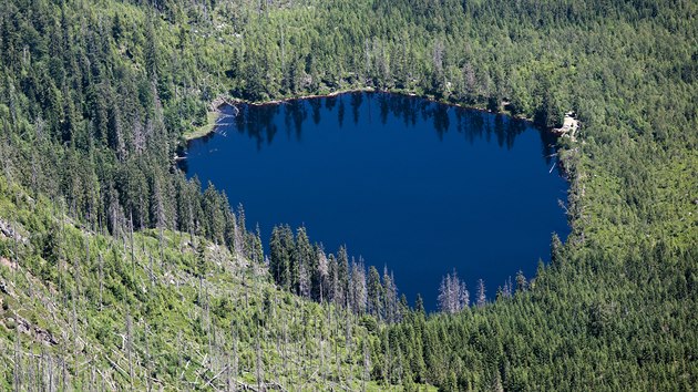 Prášilské jezero na Šumavě má rozlohu 3,7 hektaru.