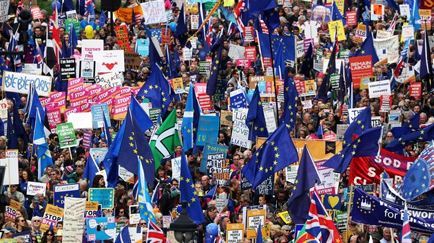 Odprci brexitu proli Londnem bhem jednn poslanc o dohod o odchodu Velk Britnie z EU. (19. jna 2019)