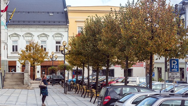 umpersk zastupitelstvo rozhodlo o vykcen aleje lip na nmst u radnice a jejich nahrazen javory. sti mstnch a ochrncm prody se to nelb.