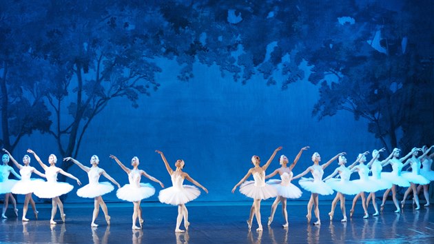 Zbr z Labutho jezera v podn Royal Moscow Ballet