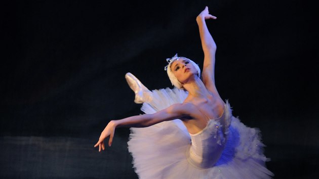 Zbr z Labutho jezera v podn Royal Moscow Ballet