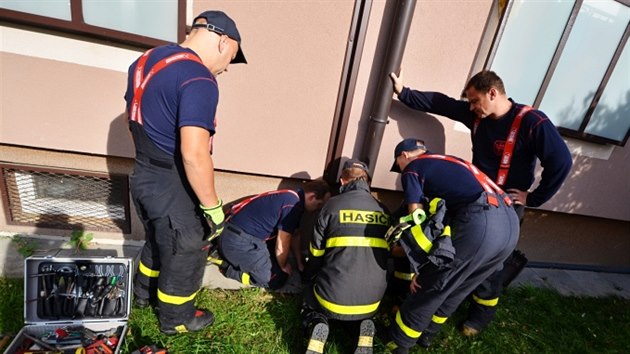 ern kot, uvznn ve velmi zkm svodu deov vody piblin ti metry hluboko pod rovn zem zachraovali v sobotu ped polednem ostravt profesionln hasii v Ostrav-Zbehu v Asejevov ulici.