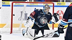 Liberecký branká Justin Peters kapituluje v utkání s Brnem.