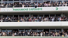 Velká pardubická, ilustraní snímek