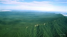 Z letadla vypadá Maliau jako obrovská vulkanická kaldera o prmru 25 kilometr.