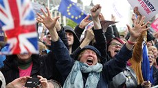 Odpůrci brexitu protestovali v Londýně během jednání poslanců o dohodě o...