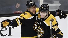 eský útoník David Pastrák objímá spoluhráe Jakea DeBruska z Boston Bruins,...