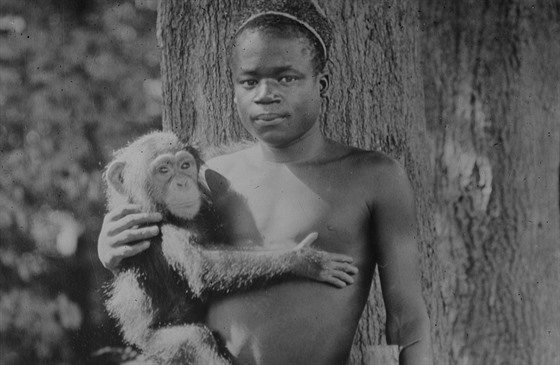 „Ota Benga, lidský exponát, třiadvacet let, vysoký 150 centimetrů, hmotnost 47 kilogramů, vystaven každé odpoledne během září.“ Tak na muže z Konga lákala své návštěvníky cedulka u pavilonu primátů v zoo v Bronxu v roce 1906. 