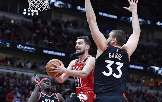 Tomá Satoranský z Chicaga proniká obranou Toronta, Marc Gasol ho nezastavil.