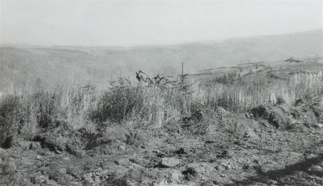 Pohled na holé Krunohoí, v popedí zbytky po odklidu. (80. léta 20. století).
