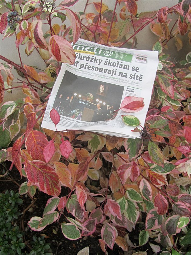 Peji krásný podzimní íjnový den a prosím tímto o zaazení do citované soute mého prvního snímku s novinami Metro.
Ano - as podzimu je ten pravý as pro fotografy, doslova ráj.
Fotografování mám také moc ráda a je to dá se íci i mj koníek, který 