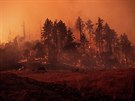 V Kalifornii na západním pobřeží USA zuří požáry. (26. října 2019)