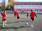 Fotbalov Trninkov centrum mldee kupuje Brno za 46 milion korun.
