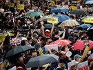 V Hongkongu se uskutenil dalí protest. Cílem pochodu byla elezniní stanice...