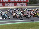 Pole jezdc Moto3 ve Velké cen Austrálie.