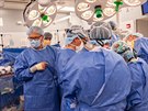 Lékai v bostonské nemocnici pod vedením eského plastického chirurga Bohdana...
