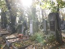 Hrob rodiny hudebníka Milana Hlavsy na hbitov Malvazinky (Praha, 25. íjna...