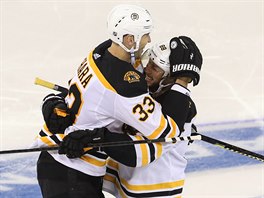 Zdeno Chára z Bostonu (vlevo) slaví s Davidem Pastr�ákem.