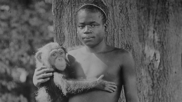 „Ota Benga, lidský exponát, třiadvacet let, vysoký 150 centimetrů, hmotnost 47 kilogramů, vystaven každé odpoledne během září.“ Tak na muže z Konga lákala své návštěvníky cedulka u pavilonu primátů v zoo v Bronxu v roce 1906.