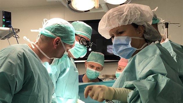 Lkai z IKEMU vyuili novou metodu, kter umouje pevst pro transplantaci bijc srdce. (21.10. 2019)