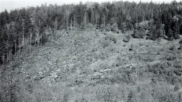 Pohled na zdevastovan les vprostoru mezi Fljemi a eskm Jietnem se zbytky lecch strom (80. lta 20. stolet).