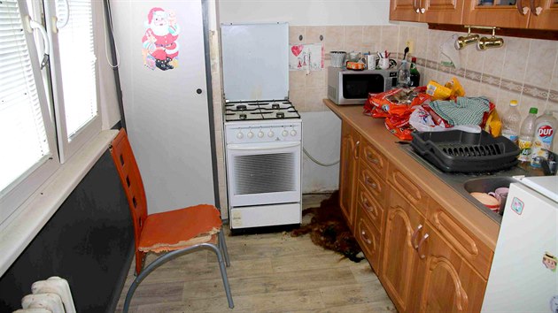 Pes zůstal zavřený v bytě v Třebši, až uhynul.