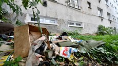 Jet na podzim roku 2019 byl kolem dom na Vranovské ulici v Brn nepoádek. Situace se pod dozorem bezpenostní agentury zmnila. 