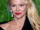 Pamela Andersonová je bez výrazného líení k nepoznání, ale v dobrém.