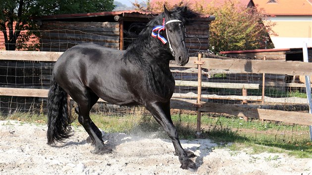 Frsk hebec Wickey van Dupaumolen