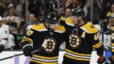 David Krejí (íslo 46) a Torey Krug (47) oslavují se spoluhrái z Bostonu...