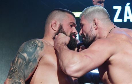 Staredown mezi Karlosem Vémolou a Attilou Véghem organizace Oktagon MMA.