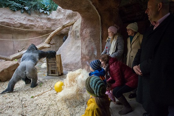 Hosté pomohli Zoo Praha v den slavnostního zahájení stavby nového Pavilonu...